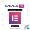 Elementor Pro