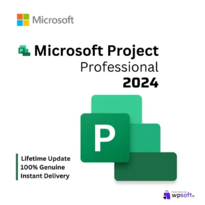 Microsoft Project Professional 2024