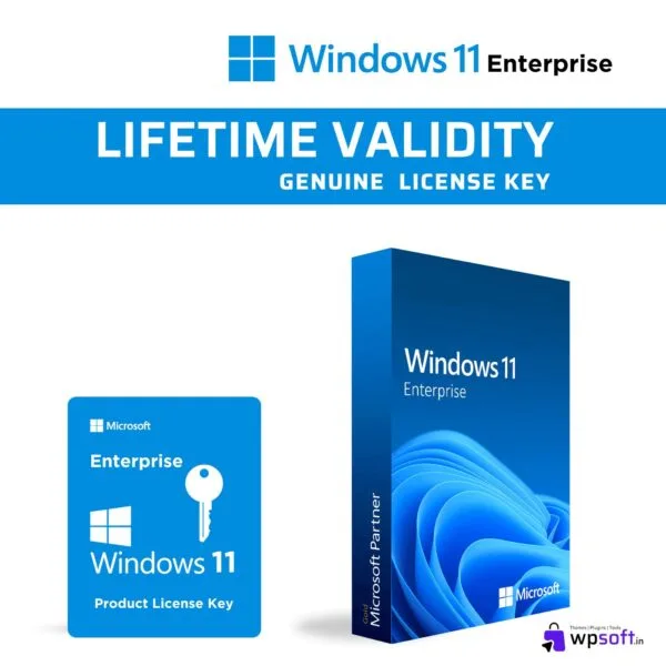 Microsoft Windows 11 Enterprise Retail License Key