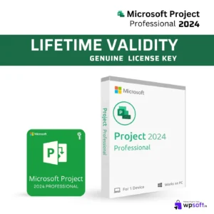 Microsoft Project Professional 2024